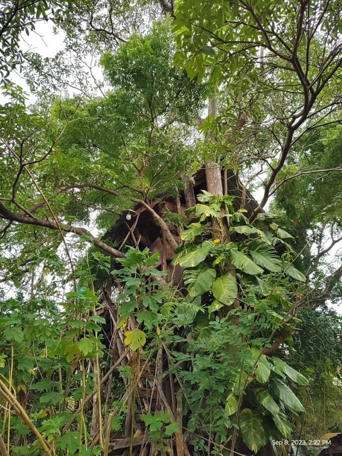 Sigiri Wild Lake Dambulla Exterior photo